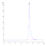 Mouse B2M/beta 2-Microglobulin Protein (B2M-MM201)