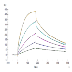 Cynomolgus B7-1/CD80 Protein (B71-CM180)