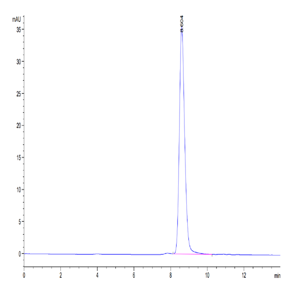 Cynomolgus B7-1/CD80 Protein (B71-CM180)