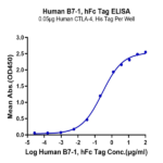 Human B7-1/CD80 Protein (B71-HM280)