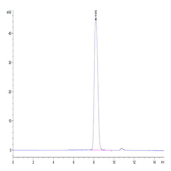 Human B7-1/CD80 Protein (B71-HM480)