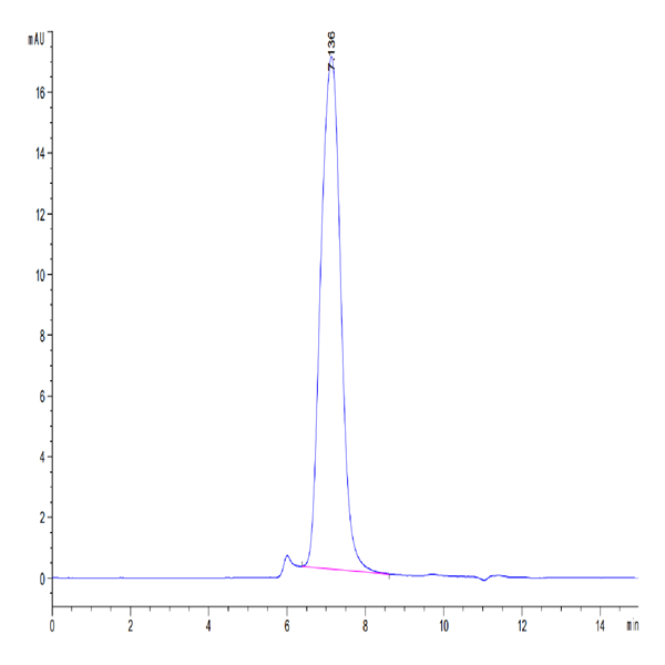 Cynomolgus B7-2/CD86 Protein (B72-CM186)