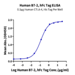 Human B7-2/CD86 Protein (B72-HM286)