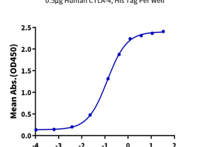 Human B7-2/CD86 Protein (B72-HM286)