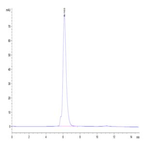 Human B7-2/CD86 Protein (B72-HM286)