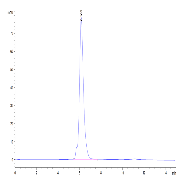 Human B7-2/CD86 Protein (B72-HM286)