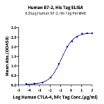 Human B7-2/CD86 Protein (B72-HM486)