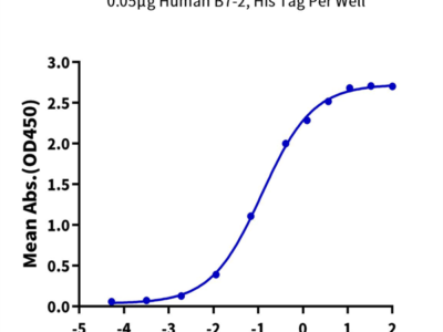 Human B7-2/CD86 Protein (B72-HM486)