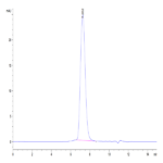 Human B7-2/CD86 Protein (B72-HM486)