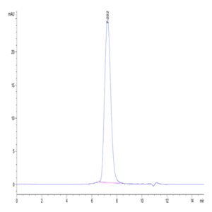 Human B7-2/CD86 Protein (B72-HM486)