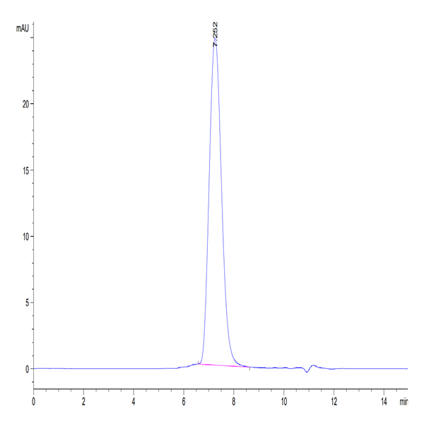 Human B7-2/CD86 Protein (B72-HM486)