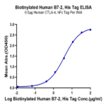 Biotinylated Human B7-2/CD86 Protein (B72-HM486B)