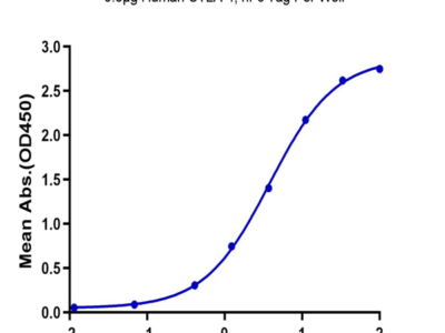 Biotinylated Human B7-2/CD86 Protein (B72-HM486B)