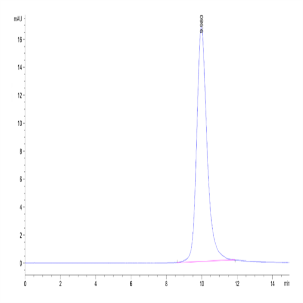 SARS-CoV-2 Spike RBD (Omicron BA.2.74) Protein (BA2-HM174)