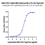 SARS-CoV-2 Spike RBD (Omicron BA.2.75) Protein (BA2-HM175)