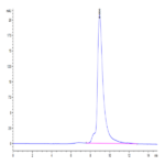 SARS-Cov-2 Spike RBD (Omicron BA.2/BA.2.2.1) Protein (BA2-VM1BD)