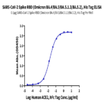 SARS-CoV-2 Spike RBD (Omicron BA.4/BA.5/BA.5.1.3/BA.5.2) Protein (BA4-VM145)