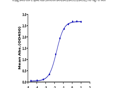 SARS-CoV-2 Spike RBD (Omicron BA.4/BA.5/BA.5.1.3/BA.5.2) Protein (BA4-VM145)
