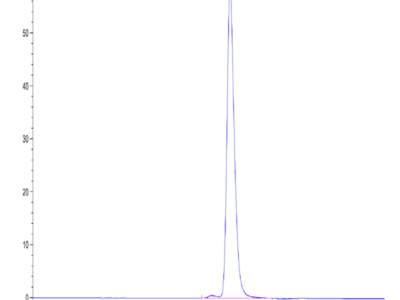 Human BACE-1 Protein (BAE-HM101)