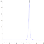 Human BACE-1 Protein (BAE-HM201)