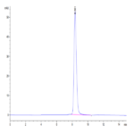 Mouse BACE-1 Protein (BAE-MM101)