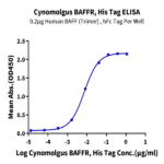 Cynomolgus BAFFR/TNFRSF13C Protein (BAF-CM10R)