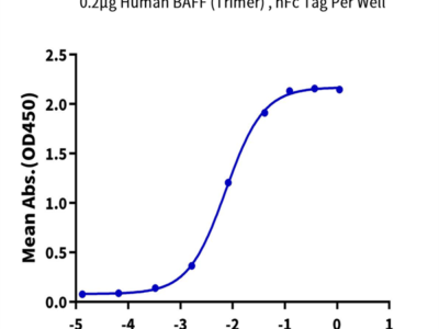 Cynomolgus BAFFR/TNFRSF13C Protein (BAF-CM10R)