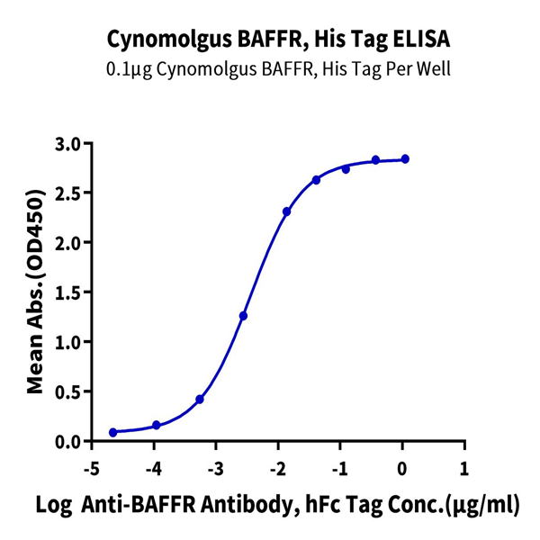 Cynomolgus BAFFR/TNFRSF13C Protein (BAF-CM10R)
