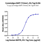 Cynomolgus BAFF/TNFSF13B/CD257 Trimer Protein (BAF-CM412)