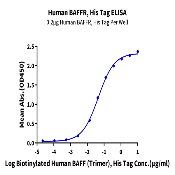 Human BAFFR/TNFRSF13C Protein (BAF-HM10R)