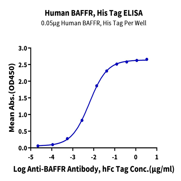 Human BAFFR/TNFRSF13C Protein (BAF-HM10R)