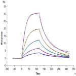 Human BAFF/TNFSF13B/CD257 Trimer Protein (BAF-HM112)