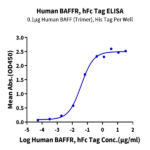 Human BAFFR/TNFRSF13C Protein (BAF-HM201)