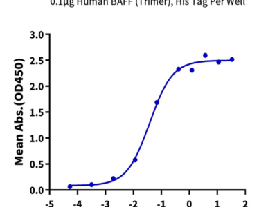 Human BAFFR/TNFRSF13C Protein (BAF-HM201)
