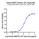 Human BAFF/TNFSF13B/CD257 Trimer Protein (BAF-HM213)