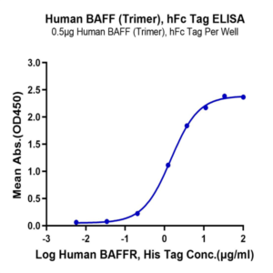 Human BAFF/TNFSF13B/CD257 Trimer Protein (BAF-HM213)