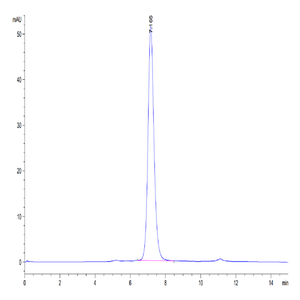Human BAFF/TNFSF13B/CD257 Trimer Protein (BAF-HM213)