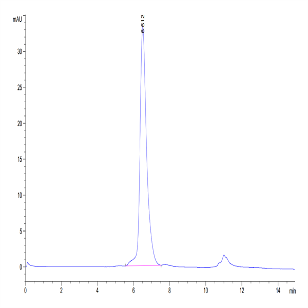 Human BAFF/TNFSF13B/CD257 Protein (BAF-HM214)