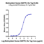 Biotinylated Human BAFFR/TNFRSF13C Protein (BAF-HM40RB)