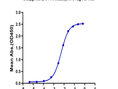 Biotinylated Human BAFFR/TNFRSF13C Protein (BAF-HM40RB)