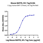 Mouse BAFFR/TNFRSF13C Protein (BAF-MM20R)