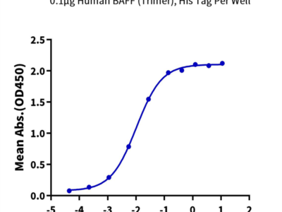 Mouse BAFFR/TNFRSF13C Protein (BAF-MM20R)