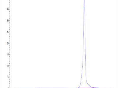 Human BAMBI Protein (BAM-HM201)