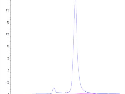 Mouse BAMBI Protein (BAM-MM201)