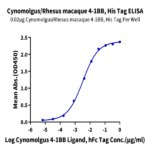 Cynomolgus/Rhesus macaque 4-1BB/TNFRSF9 Protein (BB4-CM141)