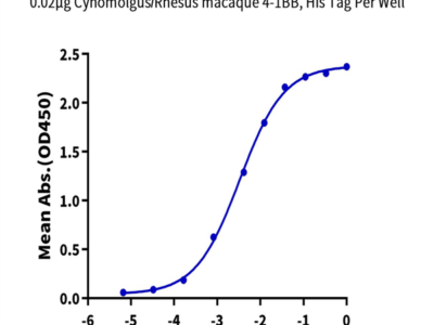 Cynomolgus/Rhesus macaque 4-1BB/TNFRSF9 Protein (BB4-CM141)