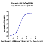 Human 4-1BB/TNFRSF9 Protein (BB4-HM141)