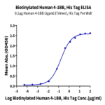 Biotinylated Human 4-1BB/TNFRSF9 Protein (BB4-HM441B)