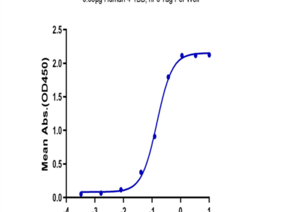 Human 4-1BB/TNFRSF9 Protein (BB4-HM541)