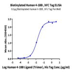 Biotinylated Human 4-1BB/TNFRSF9 Protein (BB4-HM541B)